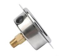 PC pour manomètre sismique à bord axial YN60ZT offrant des mesures stables et précises pour les systèmes de pression hydraulique et d'huile (0-5 kg)