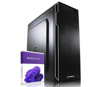 PC professionnel WIN 11 PRO rapide i12Gen 4,3 GHz 16 Go RAM 240 Go SSD 1 To H...