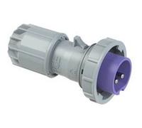 PCE Fiche CEE mâle Twist 0622v 16 A 2 pôles 24 V 1 pièce