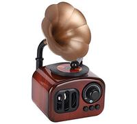 PCENIRLOP Mechanical Music Box, Slowly Turn Record with Vivid Shape No Battery Required Classical Style Music Box for Home for Office/622