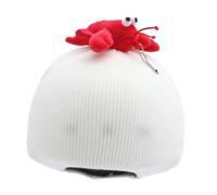 PciDinFo Housse de Casque de Ski, Couvre-Bonnet de Ski, pour Femmes et Hommes, Amusante, Décorative, élégante, Pratique, Charmante, Accessoires de Sports de Pl, Homard Blanc