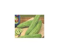 Pcs - 13x Bittergourd Melon Amer Xotica Collection Jardin Plantes - Graines K224 - Seeds & Plants Shop by Ipsa