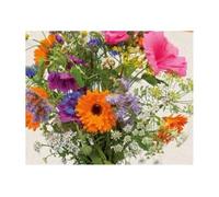 Pcs - 35x Bio Fleurs Sauvages Mélange Écologique Jardin Plantes - Graines KS54 - Seeds & Plants Shop by Ipsa