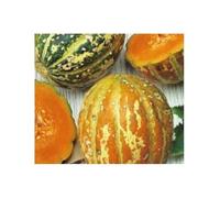 Pcs - 4x Melon Orange Ananas - Fruits Auto Féconde Jardin Plantes Graines KS87 - Seeds & Plants Shop by Ipsa