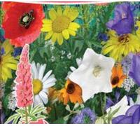 Pcs - 500x Stroherröhre Fleurs de Prairie Mélange Annuel - Graines Jardin Fleur KS367 - Seeds & Plants Shop by Ipsa
