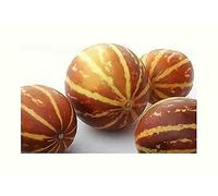 Pcs - 5x Cucumis Melo Var. Dudaim Taschenmelone Jardin Chambre Plantes - Graines ID291 - Seeds & Plants Shop by Ipsa