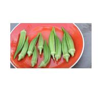 Pcs - 7x Gombo Clemson Spineless Abelmoschus Esculentus Jardin Plantes - Graines KS112 - Seeds & Plants Shop by Ipsa