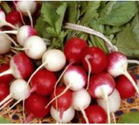 Pcs - 800x Radis Ronde Variétés Mixte Légumes Jardin Plantes - Graines K139 - Seeds & Plants Shop by Ipsa