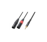 PD Connex Câble Audio 2x XLR Male/Jack 3,5mm - 6m
