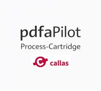pdfaPilot Process-Cartridge, 1 License