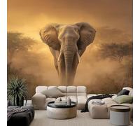 pdghsdkgjh Papier peint photo 3D Éléphant d'Afrique, intissé, motif mural imprimé 3D pour salon et chambre, 430 cm x 300 cm