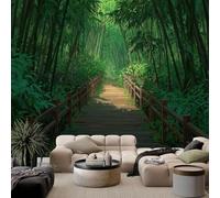 pdghsdkgjh Papier peint photo effet 3D, pont en bois et forêt de bambous dense, fresque murale verte pour salon, chambre, chambre d'enfant, décoration murale derrière la télévision, 350 cm x 256 cm