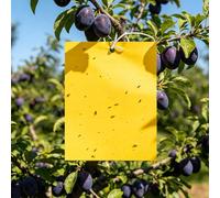 PDKKFF 60 Piège Cerisier,20x15cm Anti Moucherons Collant Double Face en PP | Jaune Sticky Papiers, Pièges à Insecte pour Pucerons, Mouches Blanches, Nématodes, Mineur avec Liens Torsadés