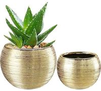 pdodo Pot de Plante Vase en Or avec Trou de Drainage, Pot de Fleur en Métal Vase,Pots de Fleurs d'intérieur pour Plantes de Serpent succulentes et orchidées pour décoration de Rebord de fenêtre