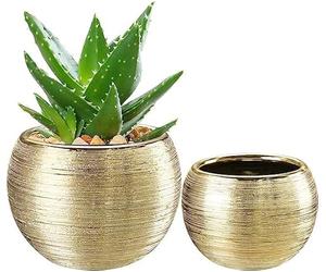 pdodo Pot de Plante Vase en Or avec Trou de Drainage, Pot de Fleur en Métal Vase,Pots de Fleurs d'intérieur pour Plantes de Serpent succulentes et orchidées pour décoration de Rebord de fenêtre