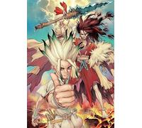 PDSYUCHEN Puzzle 1000 Pièces ,Coloré Puzzle ,Images ,Gifts ,Classic Japanese Animes Dr.Stone Affiche - Jouets Éducatifs pour Enfants - Tz87Kj