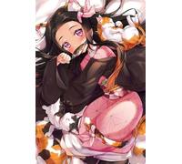 PDSYUCHEN Puzzle 1000 Pièces ，Coloré Puzzles ，Images ，Gifts ，Demons Nezuko Classic Animes Affiche ，Jouets Éducatifs pour Enfants - Tz417Kj