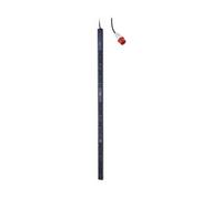 APC , Rack PDU Basic 11 kW, 230V, (36) C13 & (6) C19