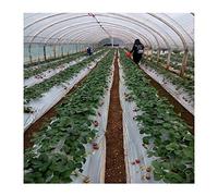 Pe noir et blanc culture de film agricole, Film de protection du sol agricole Dimo 10 m, plastique noir argenté, épaisseur 0,012 mm, protection contre le gel, maintien au chaud et désherbage des ser
