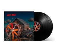 Peace... Like A River Vinyle