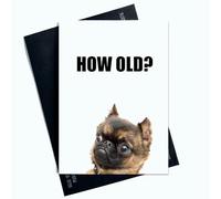 Peachy Antics Carte d'anniversaire amusante avec inscription « How Old » - Carte d'anniversaire amusante avec chien - Carte d'anniversaire pour elle - Format A5 - SP188