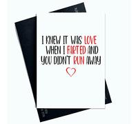 Peachy Antics Funny Cards SP6 Carte de Saint-Valentin humoristique Inscription If I knew It Was Love