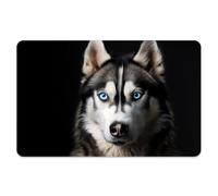 Peacoblue Lot de 4 Autocollants Cartes Bancaires Chien Husky