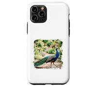 Peacock Garden Bird Elegant Nature Wildlife Floral Scène Coque pour iPhone 11 Pro