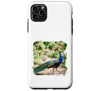 Peacock Garden Bird Elegant Nature Wildlife Floral Scène Coque pour iPhone 11 Pro Max