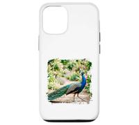Peacock Garden Bird Elegant Nature Wildlife Floral Scène Coque pour iPhone 12/12 Pro