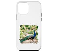 Peacock Garden Bird Elegant Nature Wildlife Floral Scène Coque pour iPhone 12 Mini