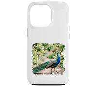 Peacock Garden Bird Elegant Nature Wildlife Floral Scène Coque pour iPhone 13 Pro