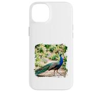 Peacock Garden Bird Elegant Nature Wildlife Floral Scène Coque pour iPhone 14 Plus