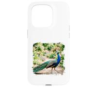 Peacock Garden Bird Elegant Nature Wildlife Floral Scène Coque pour iPhone 15 Pro