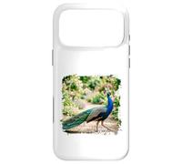 Peacock Garden Bird Elegant Nature Wildlife Floral Scène Coque pour iPhone 17 Pro Max