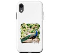 Peacock Garden Bird Elegant Nature Wildlife Floral Scène Coque pour iPhone XR