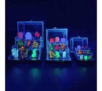 Peadxuno Accessoires de décoration Ensemble minéraux fluorescents naturels avec Lampe UV365 - 9 Pierres rares Brillantes - Découverte Scientifique et éducation pour Enfants (S)