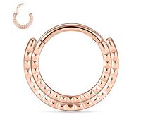 PEAKLINK Anneau de nez à charnière en acier chirurgical 16 g pour septum daith conque daith rook tragus bijoux de piercing petite boucle d'oreille, Métal, Autre