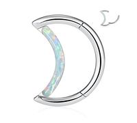 PEAKLINK Anneau de nez à charnière en acier chirurgical 16 g pour septum daith conque daith rook tragus bijoux de piercing petite boucle d'oreille, Métal, Pas de gemme