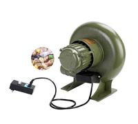 Pealihuy Souffleur électrique pour forge, ventilateur centrifuge pour barbecue, souffleur d'air pour forge à charbon, barbecue de cuisine extérieur compact et résidentiel 150 W