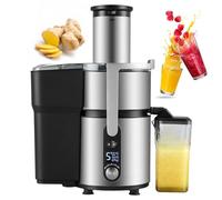pealiritansemen Extracteur De Jus Centrifuge Professionnel 1250 W, Large Goulotte De 84 mm, 5 Vitesses, Acier Inoxydable, Rendement Élevé pour Usage Domestique Ou Professionnel