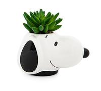 Peanuts Snoopy Face Mini pot de fleurs en céramique avec plantes grasses artificielles | Petit pot de fleurs, plantes d'intérieur artificielles pour étagère de bureau, plateau à bijoux pour décoration
