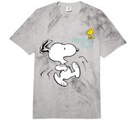 Peanuts Snoopy Woodstock s'amuse avec Ses Amis en Jouant à Retro Time Comfort Colors Adult Heavyweight T-Shirt