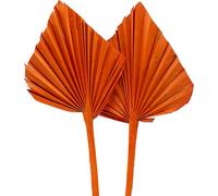 Pear de palmier mini en orange, set de 100 - Décoration de fleurs séchées exotiques pour arrangements floraux, fleurs de deuil & décoration de table