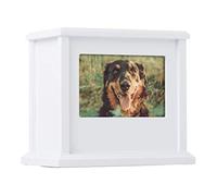 Pearhead Boîte à Souvenirs personnalisée pour Chien ou Chat, urne pour Animal Domestique, Blanc (89050)