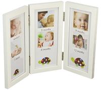 Pearhead Tableau - Première Année