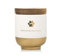 Pearhead Urne funéraire en céramique pour Animal Domestique Forever in Our Hearts - pour Chien ou Chat