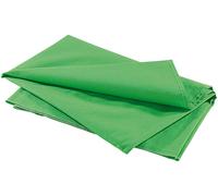 Somikon – Tissu d'arrière-plan vert en coton 300 x 400 cm