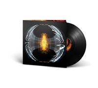 Pearl Jam Dark Matter (Vinyl) 12" Album