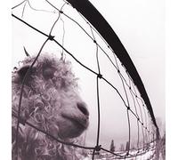 Pearl Jam - PEARL JAM-VS. VINYL EDITION (REMASTERED)